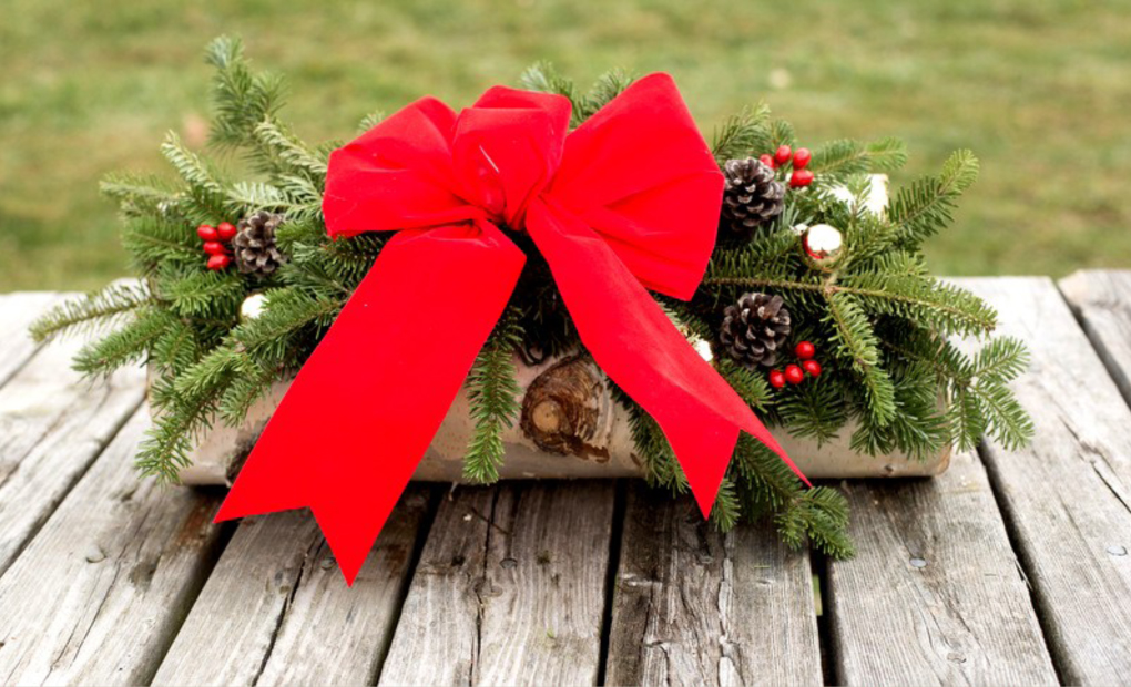 White Birch Log Bundle